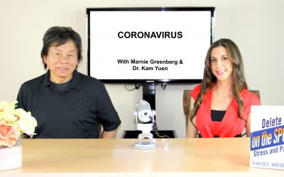 Coronavirus Free Live Stream Part 3