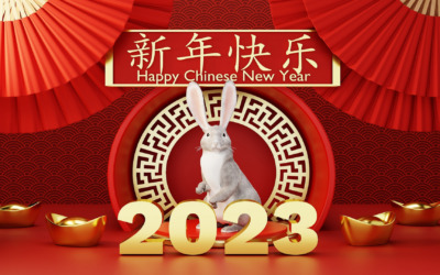 Chinese New Year Special Year of the Rabbit!